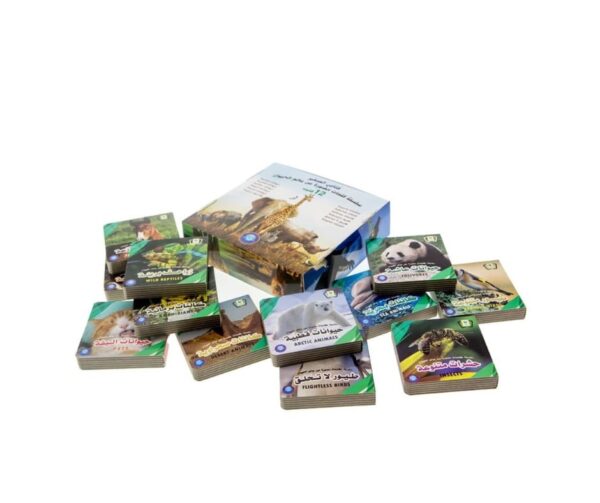 كتابي الصغير