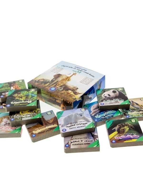 كتابي الصغير