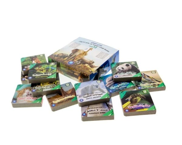 كتابي الصغير