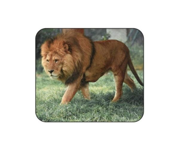 31 768x644 31 768x644